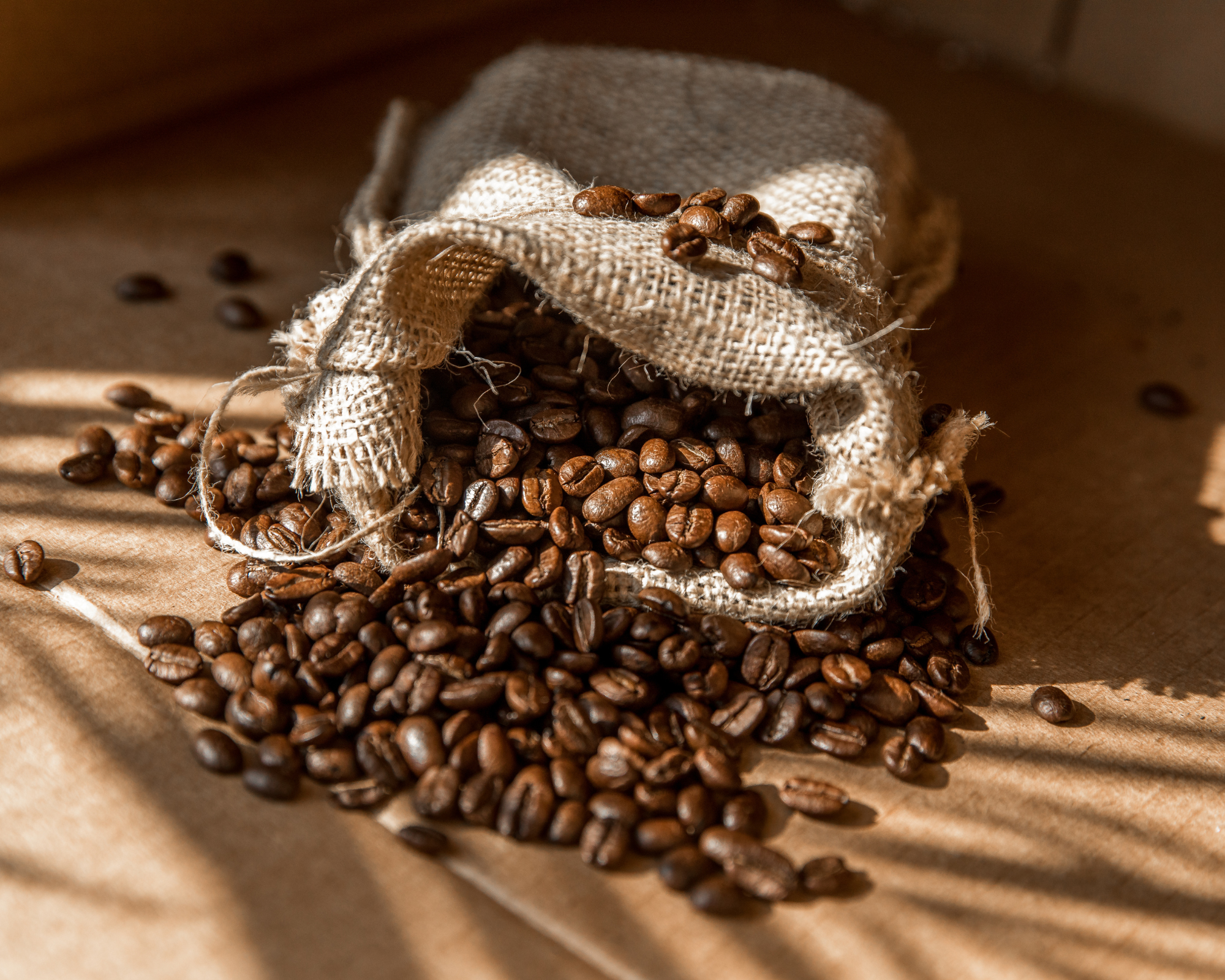 Read more about the article Fair gehandelter Kaffee: Mehr als nur der Mehrpreis
